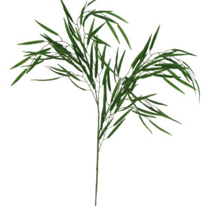 Willow Spray