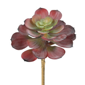 Red Succulent Pick