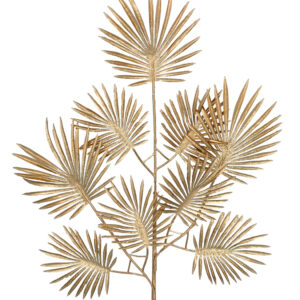 Palm Leaf Stem
