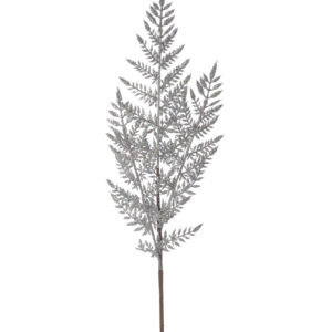 Silver Fern Leaf