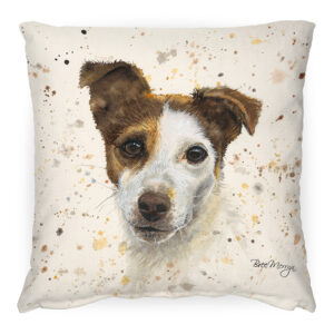 Jake Cushion