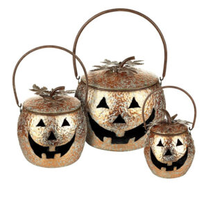 Pumpkin Carrier Small