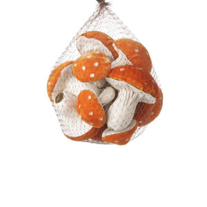 Bag Of Toadstools Orange