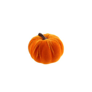 Mini Orange Pumpkin