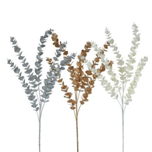 Colour Leafy Stems