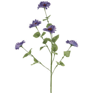 Blue Aster Spray