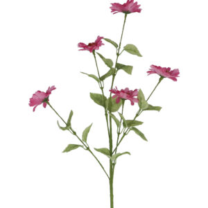 Pink Aster Spray