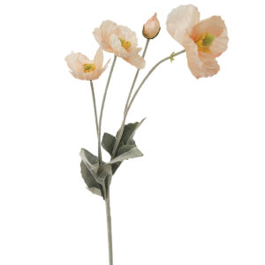 Poppy Spray Peach