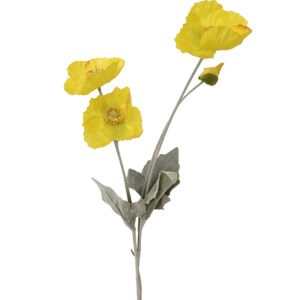 Yellow Poppy Spray