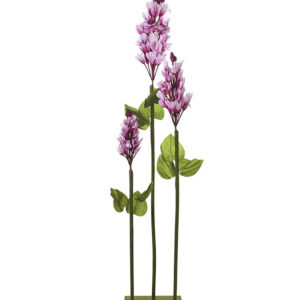 Purple Foxgloves On Stand