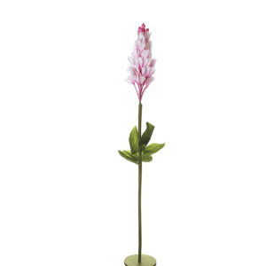 Pink Foxglove On Stand