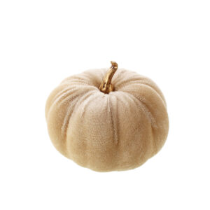 Mini Cream Pumpkin