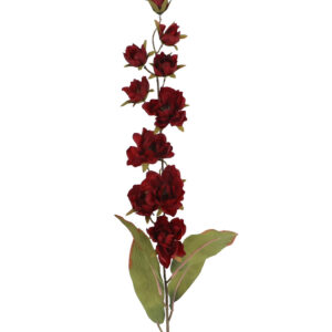 Antique M Magnolia Burgundy